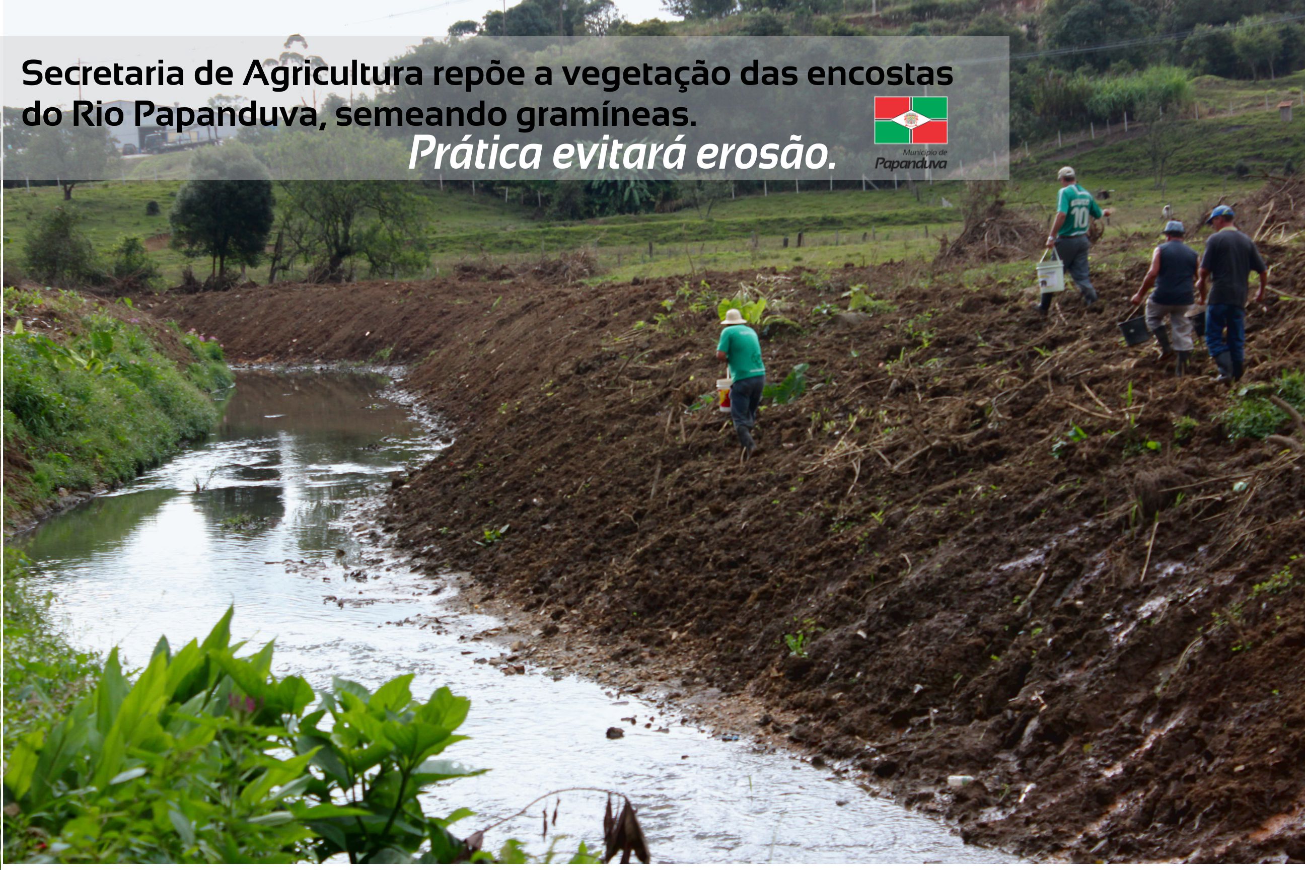 Read more about the article Secretaria de Agricultura repõe a mata ciliar das encostas do Rio Papanduva