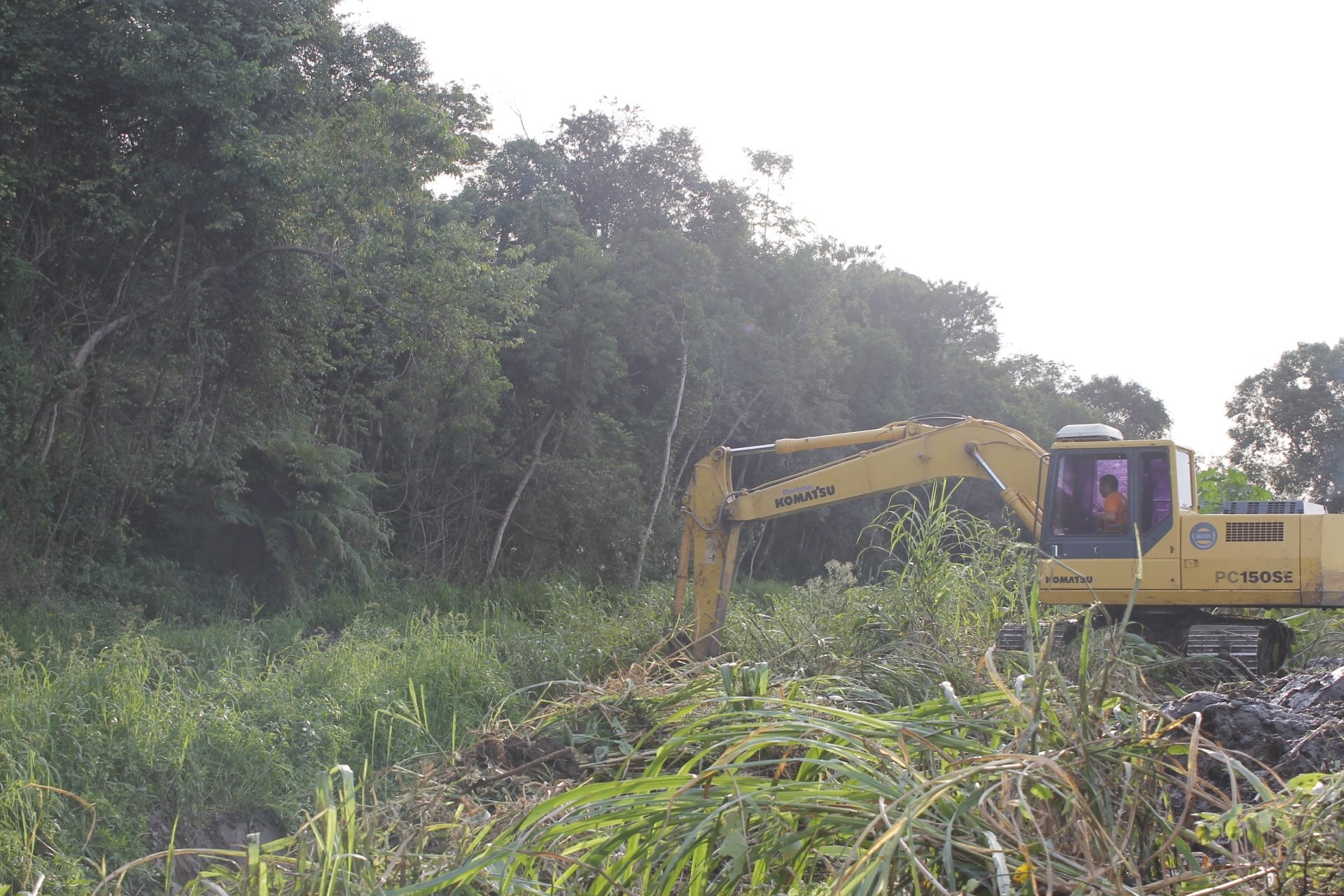 Read more about the article Prefeitura realiza limpeza na linha férrea