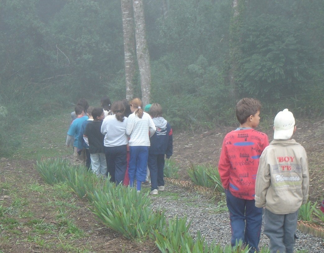 Read more about the article Conselho de Defesa do Meio Ambiente de Mafra está sendo reativado