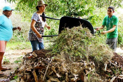 Read more about the article Publicação online traz orientações sobre compostagem de lixo orgânico