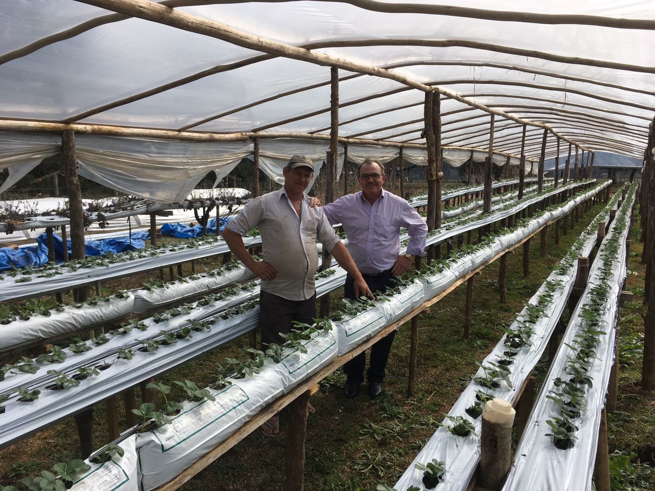 You are currently viewing Visitas em propriedades rurais, entrega de mudas frutíferas e reunião do Conselho Agropecuário marcam atividades da Secretaria de Desenvolvimento Rural