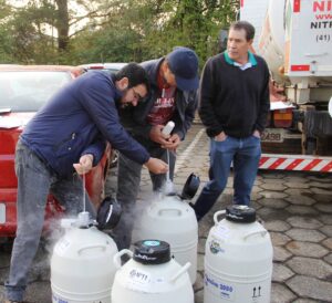 Read more about the article Prefeitura de Canoinhas distribui 300 doses de sêmen bovino