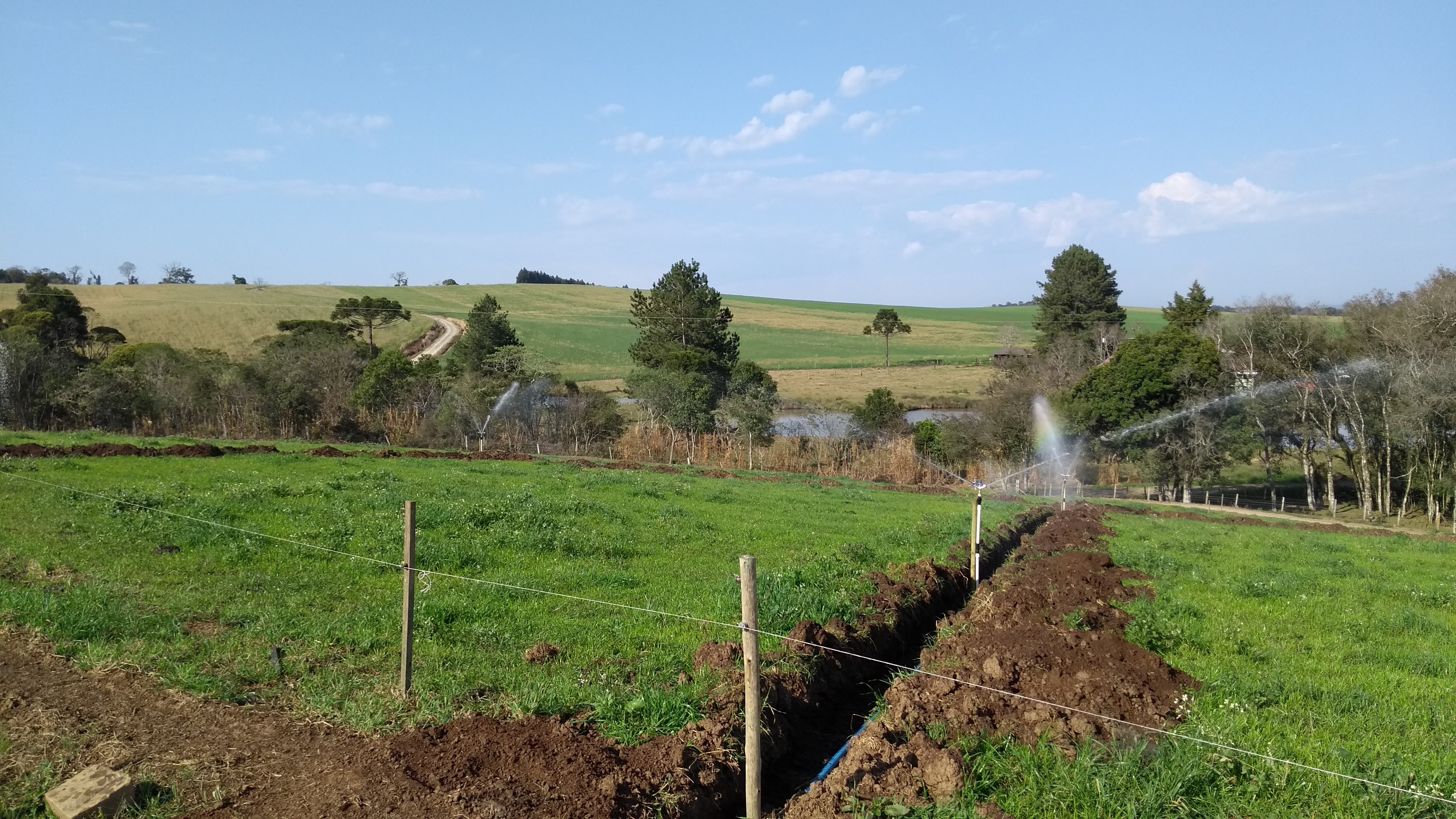 Read more about the article Irrigação de pastagens: pasto verde o ano todo