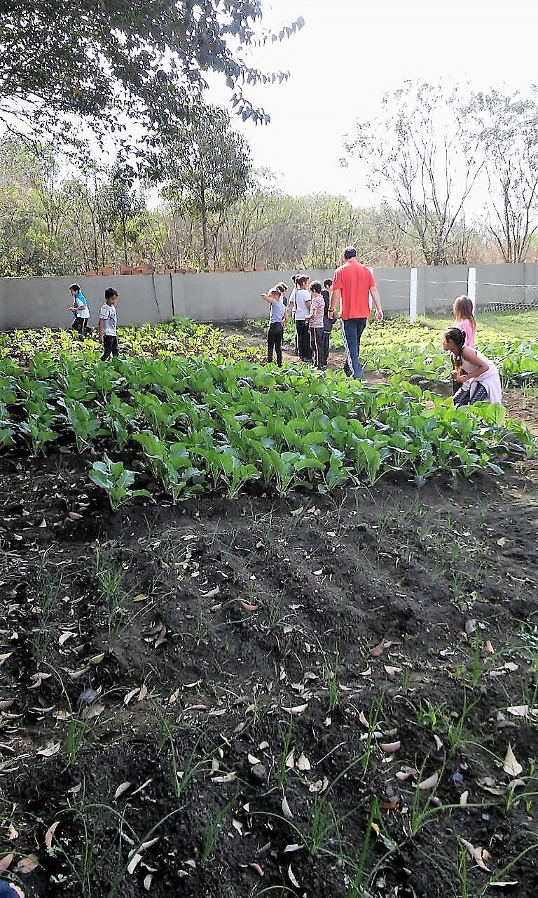 You are currently viewing Projeto “Horta Escolar” reúne 180 alunos da Extensão II no distrito de São Cristóvão