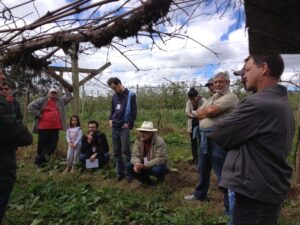 Read more about the article Planorte Frutas é tema de reunião em Monte Castelo