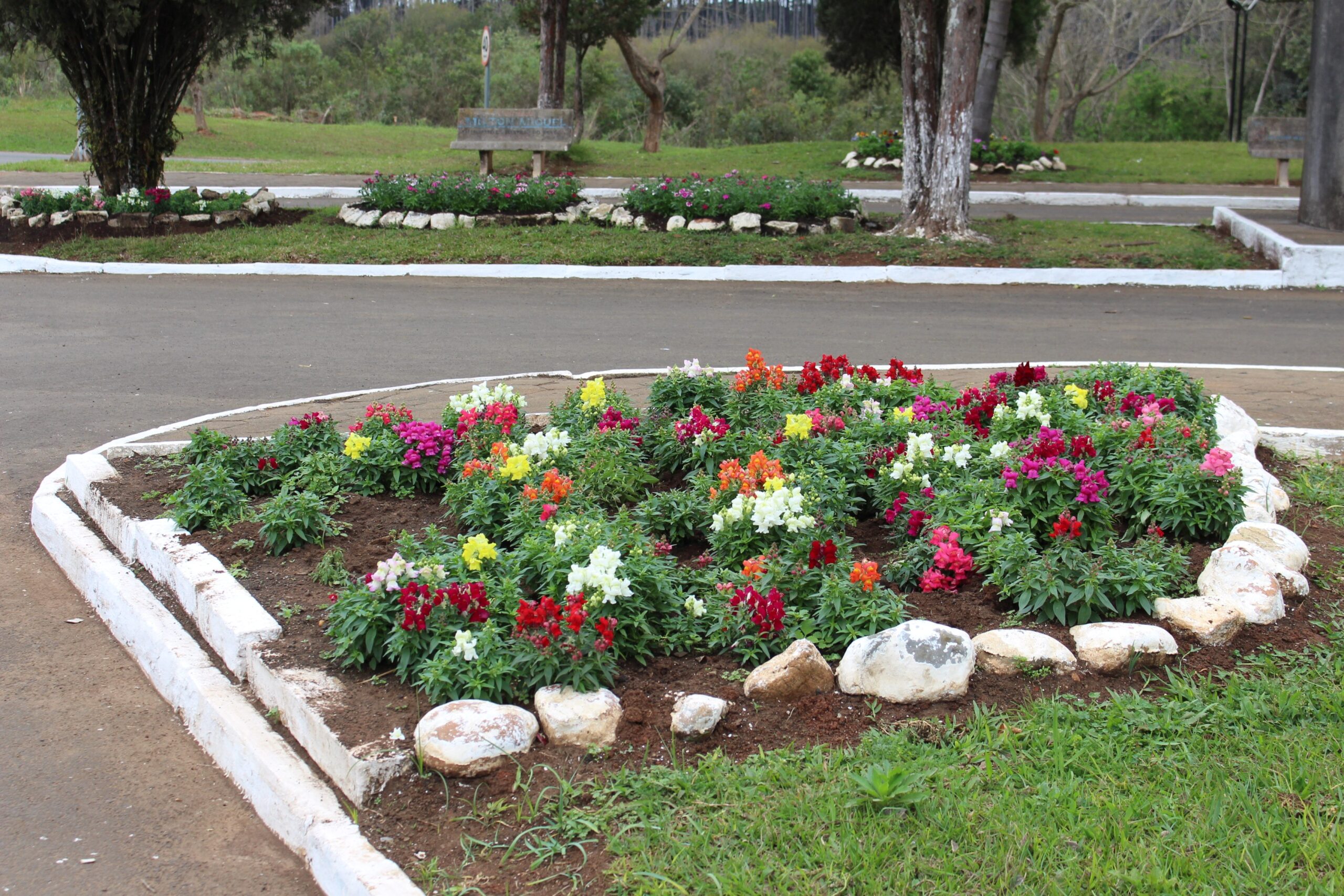 You are currently viewing Mês começa com os jardins e canteiros públicos floridos