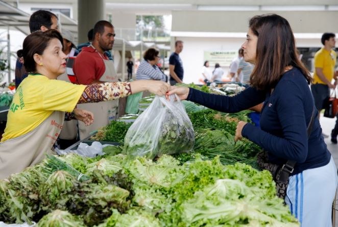 You are currently viewing Agricultores têm mais um mês para participar do edital Kit-feira