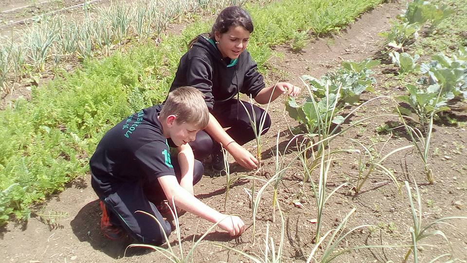 Read more about the article Dia 31 de outubro acontece o IV Dia do Campo da Escola Agrícola de Mafra