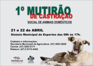 Read more about the article Primeiro Mutirão de Castração Social de Animais Domésticos