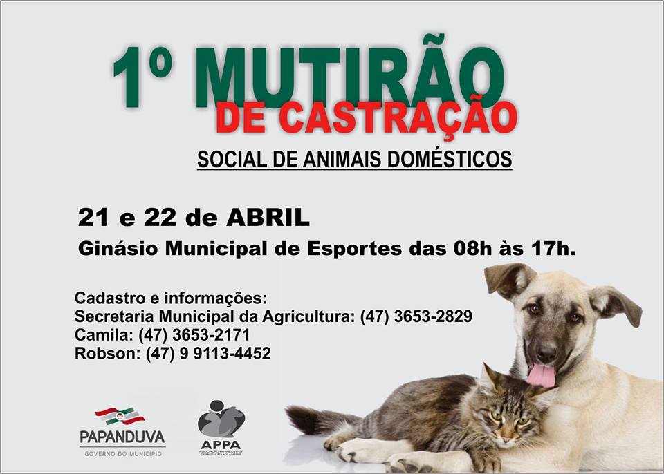 You are currently viewing Primeiro Mutirão de Castração Social de Animais Domésticos