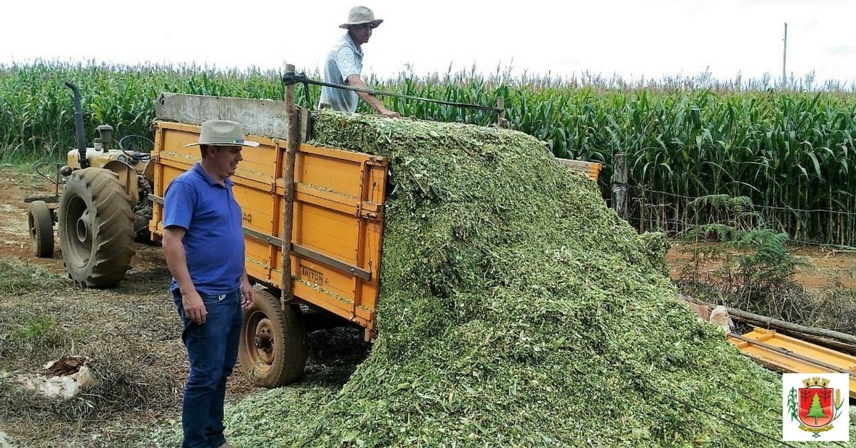 You are currently viewing Agricultura está com inscrições abertas para os serviços de trator e implementos agrícolas