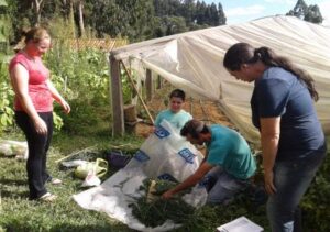 Read more about the article Epagri ensina agricultores papanduvenses a produzir biofertilizante