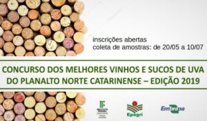 Read more about the article Concurso vai premiar melhores vinhos do planalto norte