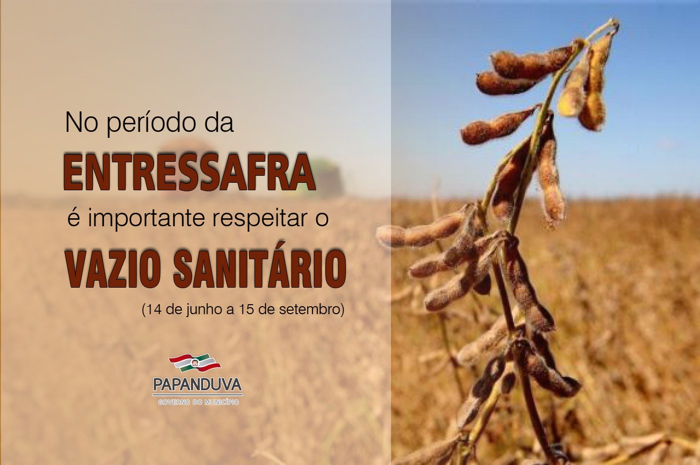 You are currently viewing Secretaria de Agricultura salienta importância do período de vazio sanitário