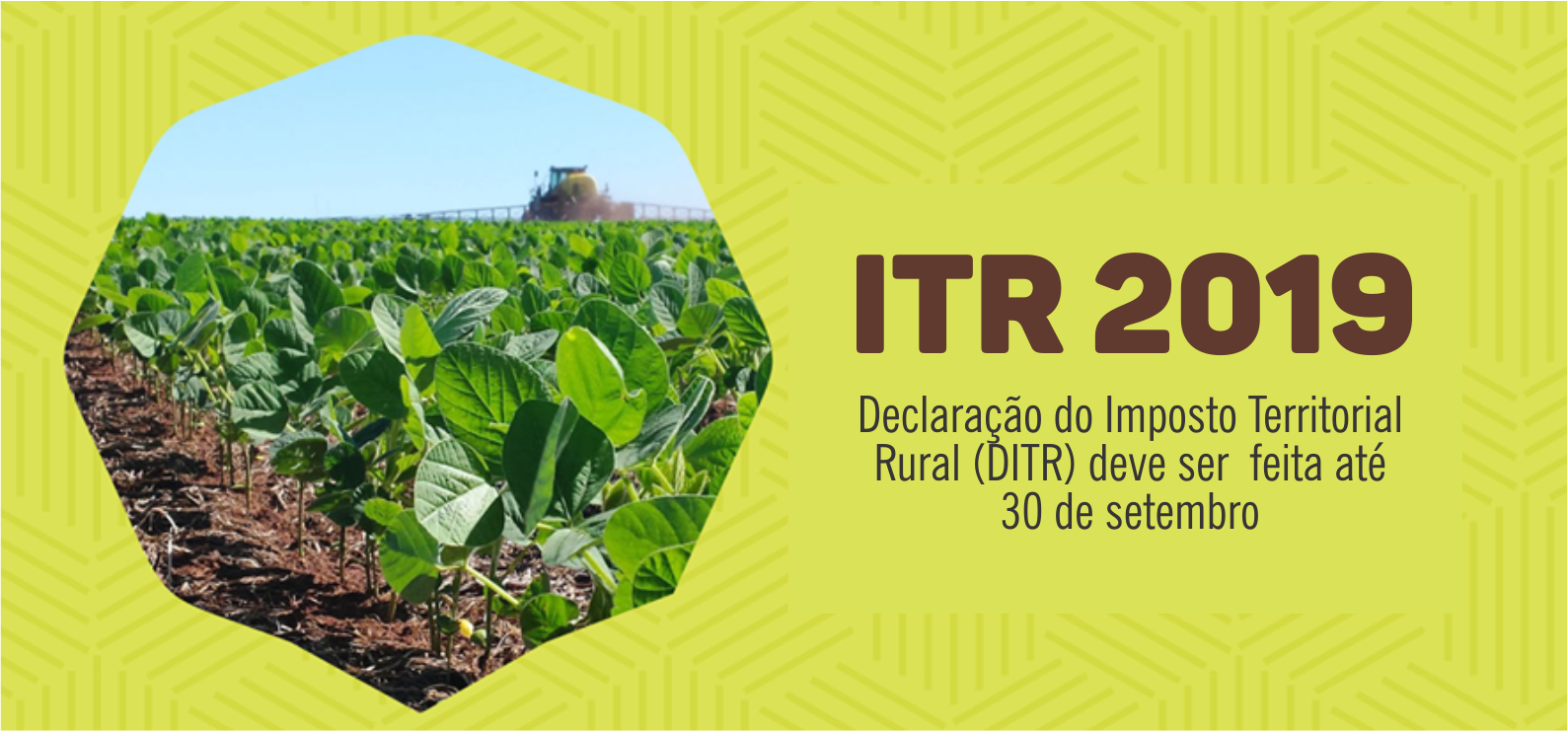 Read more about the article Declaração do ITR de Irineópolis deve ser feita até 30 de setembro