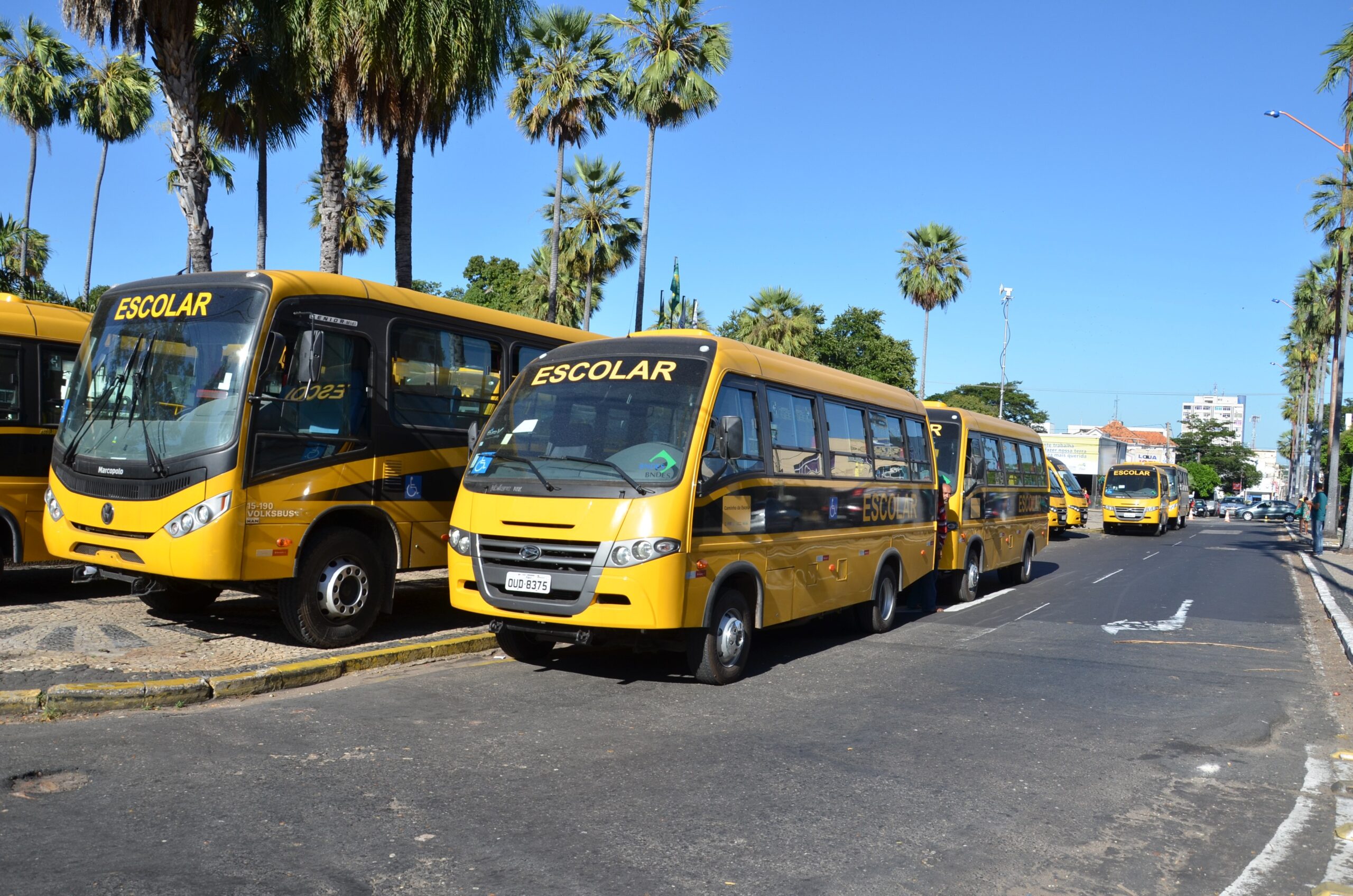 You are currently viewing Auxílio transporte: Educação de Três Barras realiza o cadastramento de estudantes