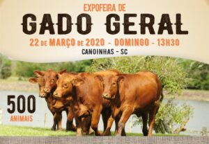 Read more about the article Feira geral de gado acontece no próximo dia 22 em Canoinhas