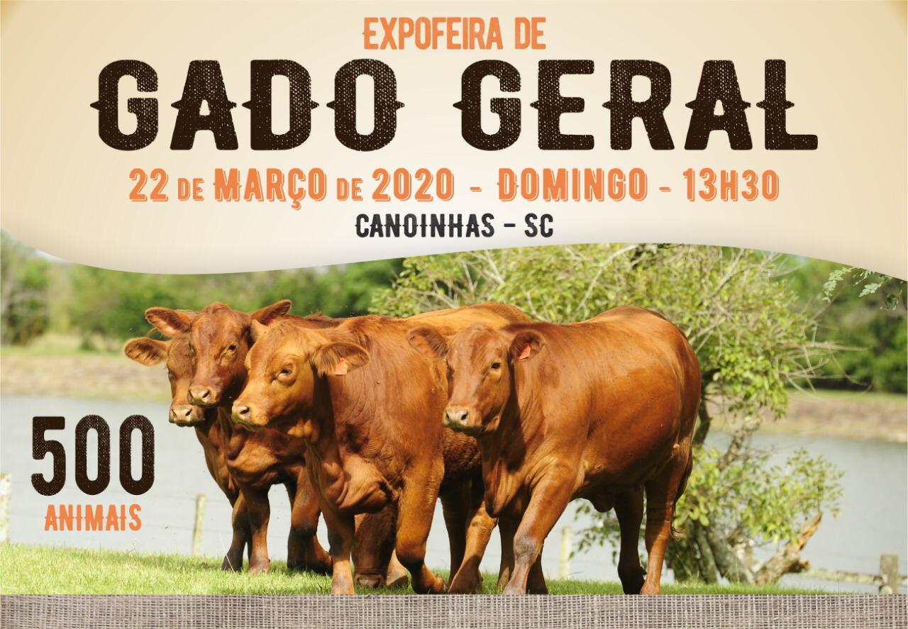 You are currently viewing Feira geral de gado acontece no próximo dia 22 em Canoinhas