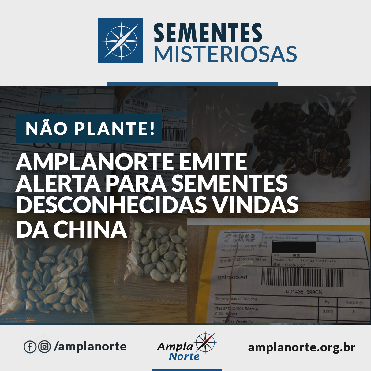 You are currently viewing Amplanorte emite alerta para sementes desconhecidas vindas da China