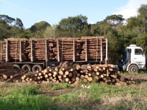 Read more about the article AMPLANORTE FISCALIZA MUNICÍPIO DE MAFRA E ITAIÓPOLIS