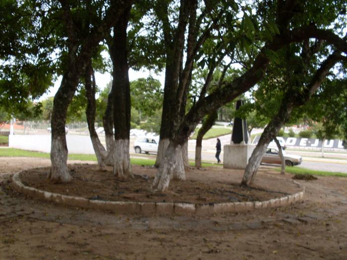 You are currently viewing Praça em Irineópolis será revitalizada