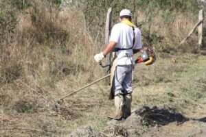 Read more about the article Prefeitura de Mafra realiza trabalho diário de limpeza urbana