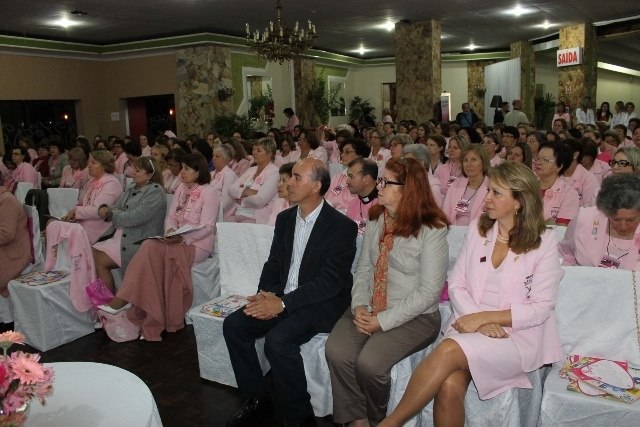 You are currently viewing Rede Feminina de Combate ao Câncer realiza encontro em Porto União