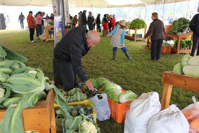 Read more about the article Semana do Meio ambiente é comemorada em Três Barras