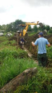 Read more about the article Poda de árvores, tapa-buracos, troca e conserto de tubulação fazem parte da rotina da Prefeitura de Mafra