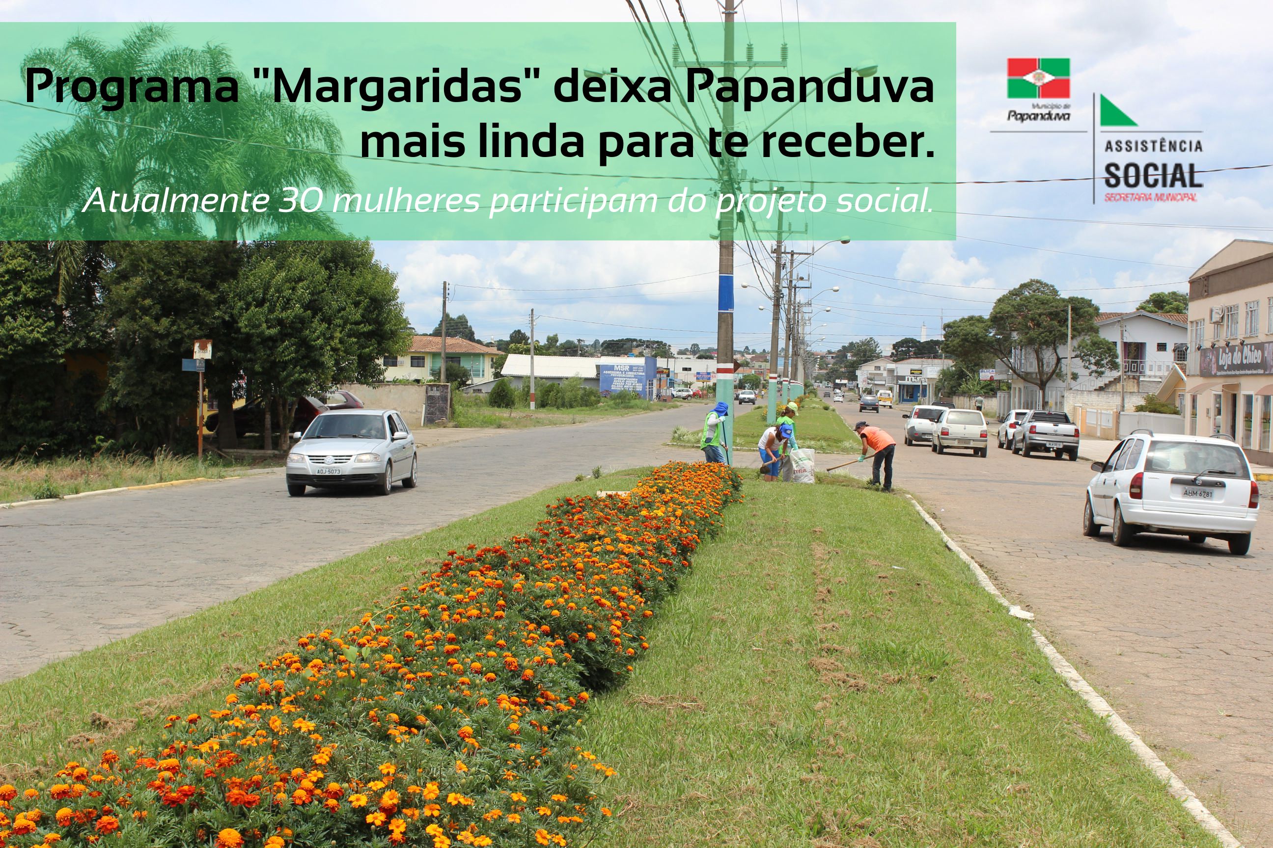 Read more about the article ‘Programa Margaridas’ deixa Papanduva mais linda para te receber