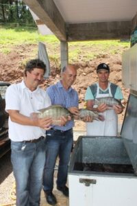 Read more about the article Porto União terá abatedouro de peixes