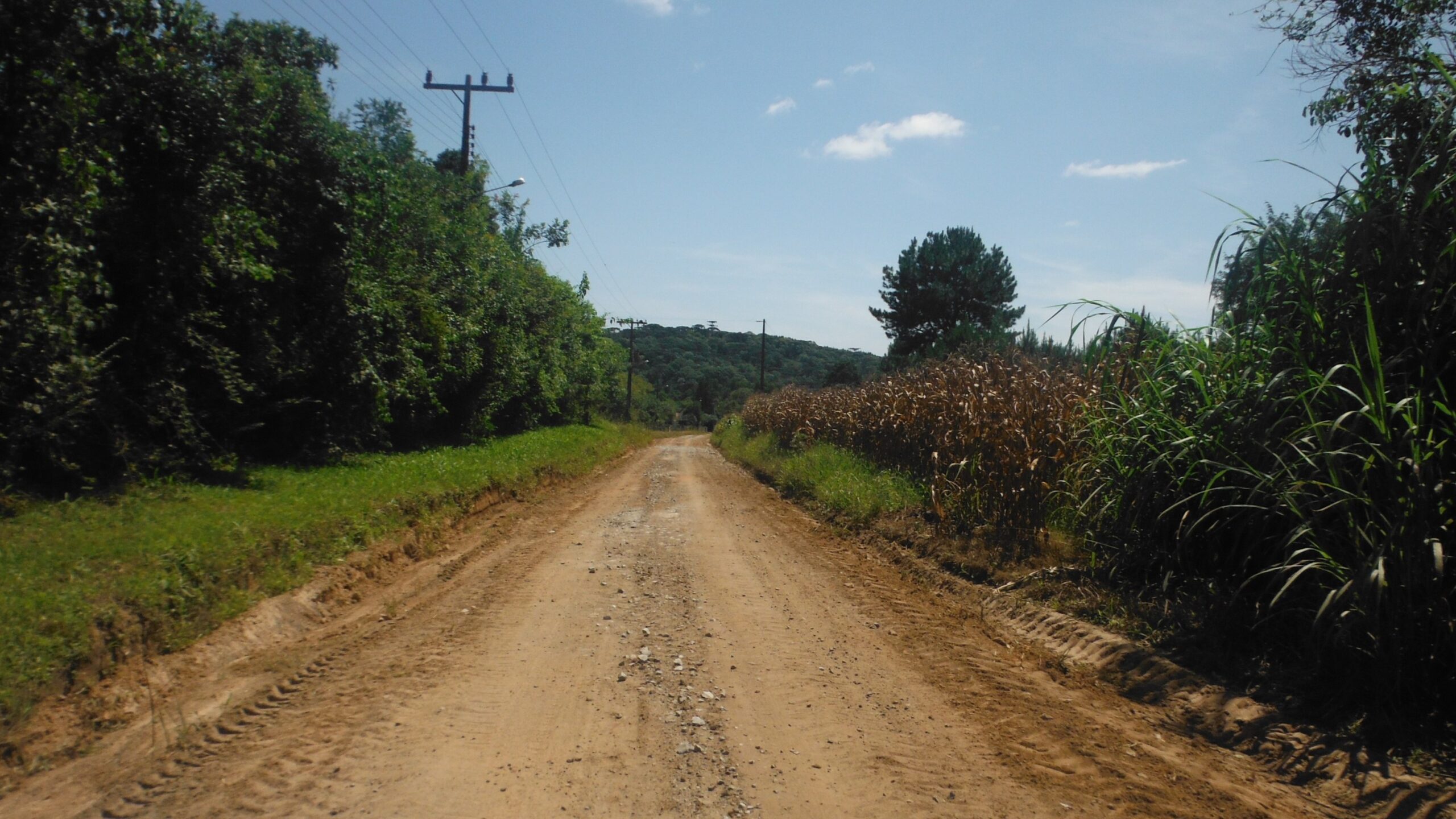 Read more about the article Estradas da localidade do Rio Preto recebem melhorias