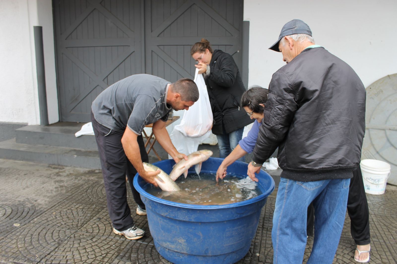 Read more about the article Feira do Peixe inicia nesta semana